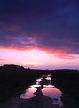 Picture Title - Sunset in a Puddle