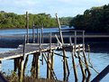Picture Title - Old jetty on Mangrove Creek