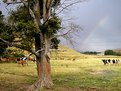 Picture Title - Another View of the Rainbow Farm