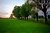 Evening meadow