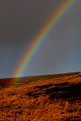 Picture Title - Somewhere over