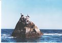 Picture Title - finisterre