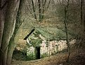 Picture Title - 'peaceful old Springhouse at Rosetree'