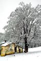 Picture Title - No noise house