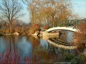 Picture Title - Bridge at Cox Arboretum