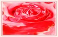 Picture Title - Melted rose