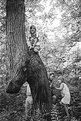 Picture Title - Girls and Horse Tree