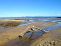 Picture Title - Low Tide