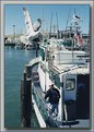 Picture Title - Fishing boat, San Francisco.