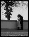 Picture Title - The kiss