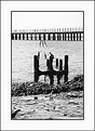 Picture Title - old jetty