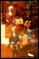 Picture Title - Shopping Women