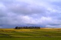 Picture Title - Pennine View
