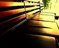 Picture Title - benches