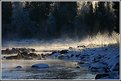 Picture Title - Misty river