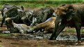 Picture Title - Fun, In The Mud