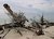 Beach Erosion - Greer Island, Florida