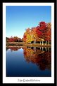 Picture Title - New England Fall