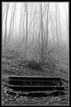 Picture Title - Steps to fog