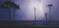 Picture Title - Storm at Cape San Blas