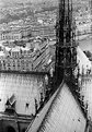 Picture Title - Notre Dame Cathedral