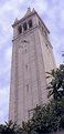 Picture Title - The Campanile, UC, Berkeley, Calif.