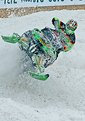 Picture Title - Snowmobile Racer