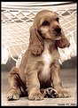 Picture Title - Mel