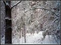 Picture Title - Winter Lingers