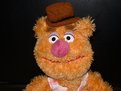 Picture Title - Fozzy Bear - Wocka Wocka