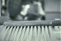 Picture Title - Brush
