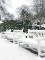 Picture Title - solitary benches