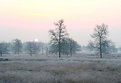 Picture Title - Frosted landscape