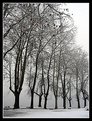 Picture Title - Winter's Atmosphere.. (the Last)