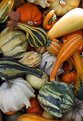 Picture Title - Vegetables