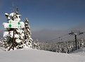 Picture Title - Early morning at Mary Jane summit