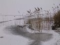 Picture Title - frozen lake in potsdam