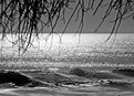 Picture Title - Winter Lake