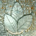 Picture Title - Leafy