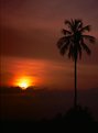 Picture Title - Tropical Sunset