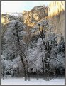 Picture Title - Trees in mist with glowing cliff