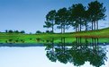 Picture Title - Trees on reflection