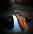 Picture Title - "THE PUDDLE"