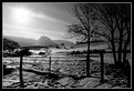 Picture Title - Resplandor de invierno