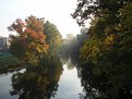 Picture Title - Red Cedar In Autumn