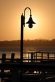 Picture Title - Sydney Harbour dusk