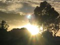 Picture Title - sunrise over suburbia
