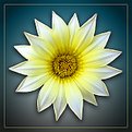 Picture Title - Mellow Yellow