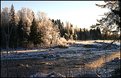 Picture Title - Winter River