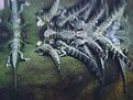 Picture Title - Alligators